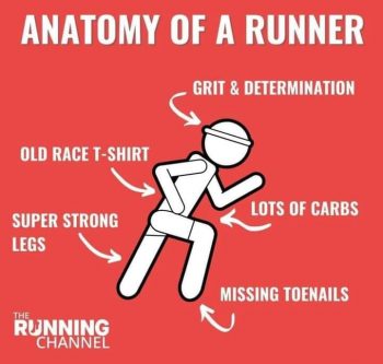 anatomy of a runner meme