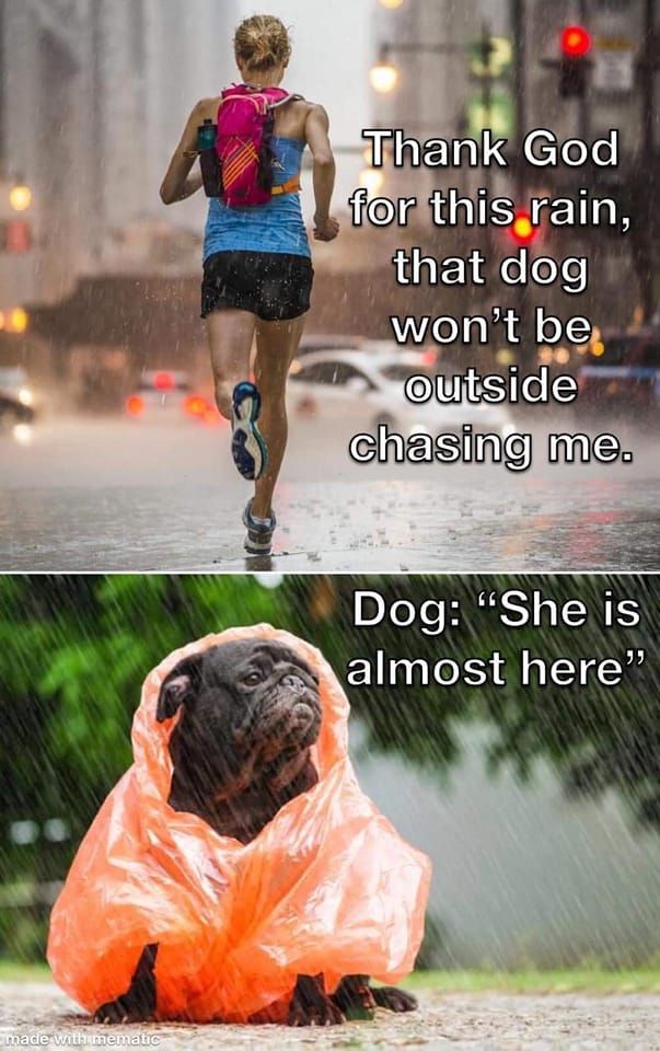 running in the rain meme