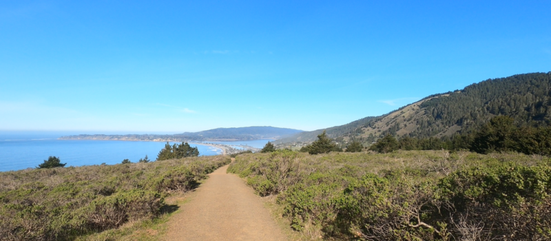 The Dipsea Trail - Running the Double Dipsea - Tips and Info