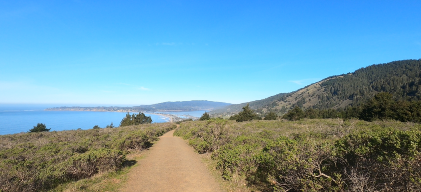 The Dipsea Trail - Running the Double Dipsea - Tips and Info