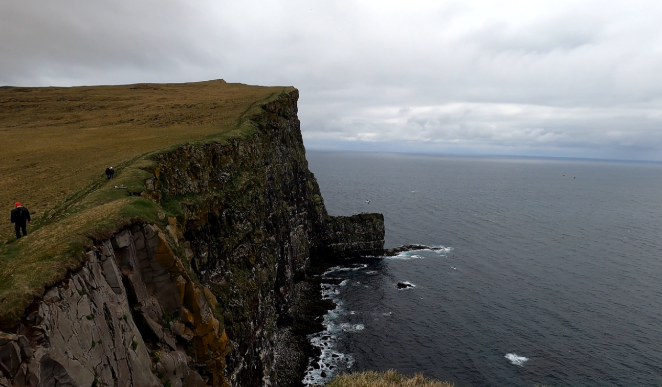 The Latrabjarg Cliffs - Hiking The Highest Sea Cliffs in Iceland