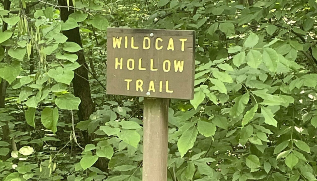 Wildcat Hollow Trail 