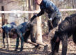 How Many Burpees Do You Have To Do In A Spartan Race? An Updated Guide for 2024